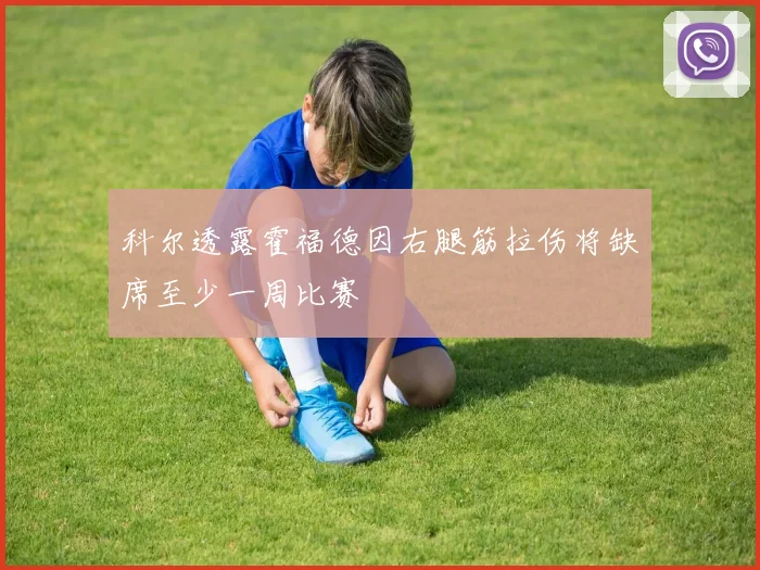 科尔透露霍福德因右腿筋拉伤将缺席至少一周比赛