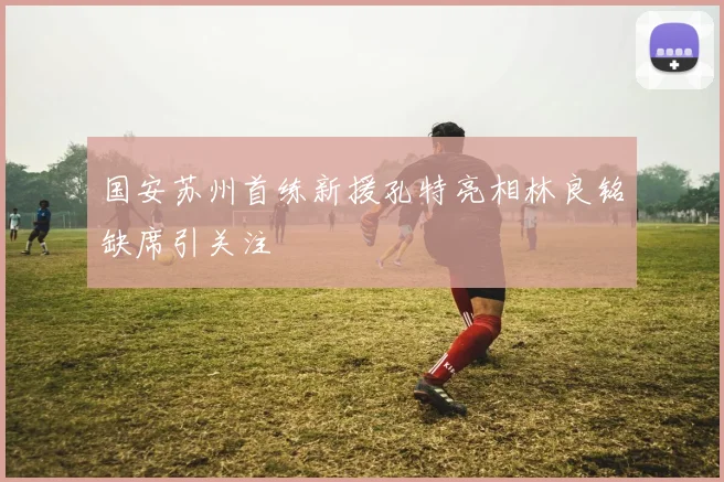 国安苏州首练新援孔特亮相林良铭缺席引关注