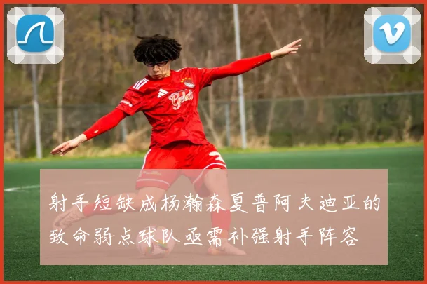 射手短缺成杨瀚森夏普阿夫迪亚的致命弱点球队亟需补强射手阵容